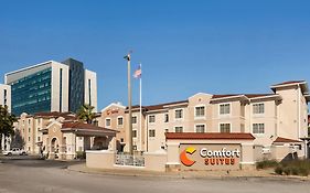 Comfort Suites Downtown